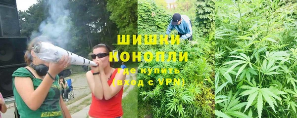 молекула духа Коряжма
