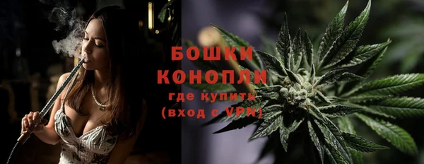 трава Козельск