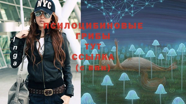 молекула духа Кодинск