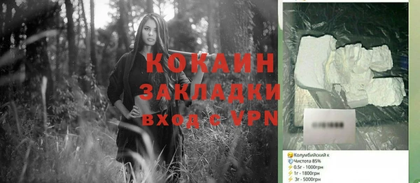 шишки Козловка