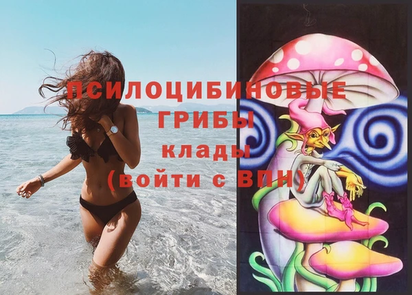 трава Козельск