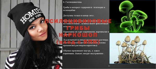 МДПВ Костерёво
