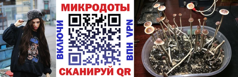 MEGA tor  shop клад  Псилоцибиновые грибы ЛСД  Киренск 